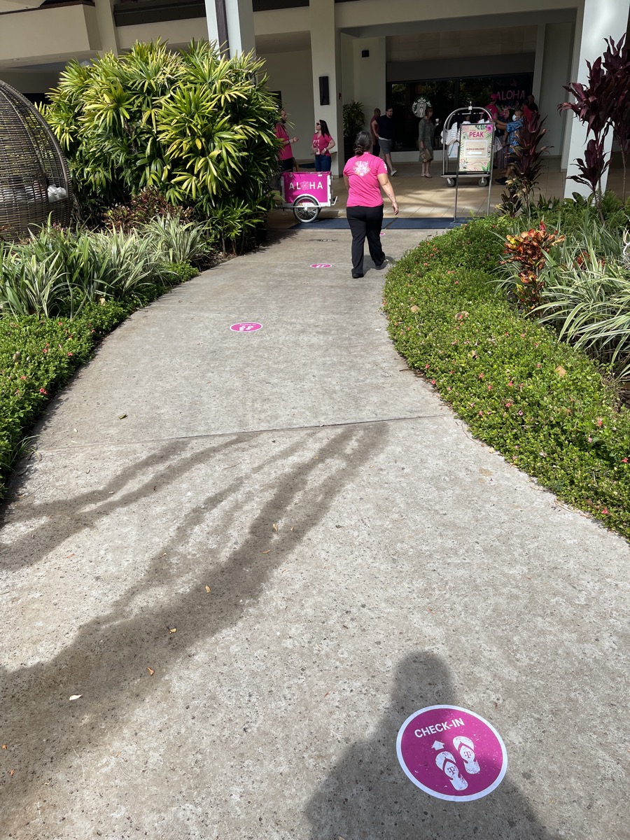 Floor / Ground Graphics